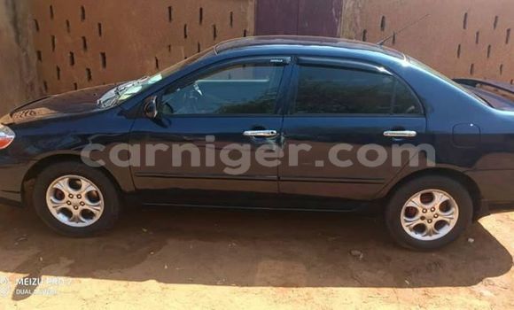 Buy Used Toyota Corolla Blue Car in Niamey in Niamey Buy Used Toyota Corolla Blue Car in Niamey in Niamey