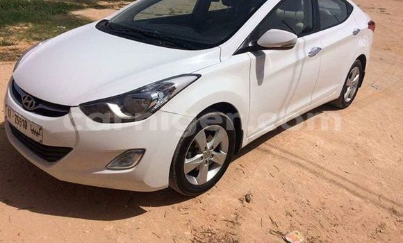 Buy Used Hyundai Elantra White Car in Niamey in Niamey