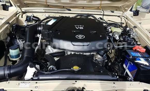 Buy Used Toyota Land Cruiser Brown Car in Niamey in Niamey Buy Used Toyota Land Cruiser Brown Car in Niamey in Niamey