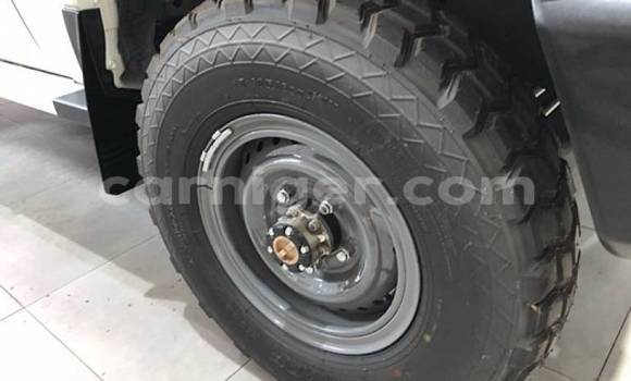 Sayi Sabo Toyota Land Cruiser Beige Mota in Import - Dubai a Agadez Sayi Sabo Toyota Land Cruiser Beige Mota in Import - Dubai a Agadez