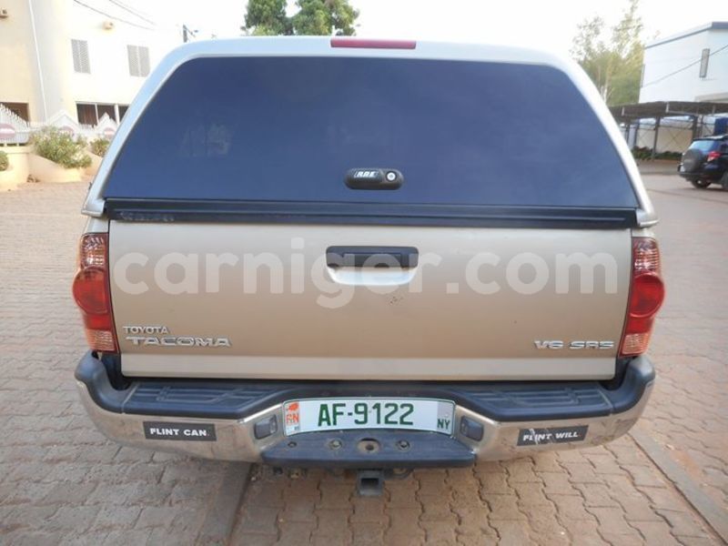 Big with watermark 52608992 1362862617189218 4314377137973886976 o