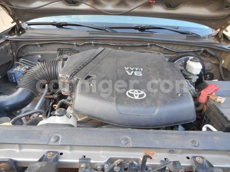 Big with watermark 53309028 1362862563855890 4199899071076368384 o