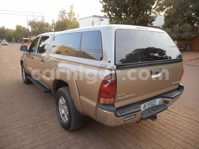 Big with watermark 53271375 1362862390522574 3820286934920462336 o