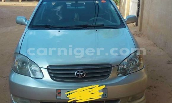 Buy Used Toyota Corolla Silver Car in Niamey in Niamey Buy Used Toyota Corolla Silver Car in Niamey in Niamey