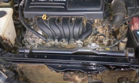 Buy Used Toyota Corolla Black Car in Niamey in Niamey Buy Used Toyota Corolla Black Car in Niamey in Niamey