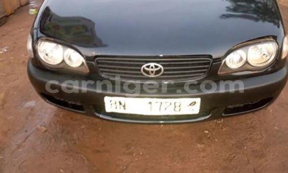 Buy Used Toyota Corolla Black Car in Niamey in Niamey Buy Used Toyota Corolla Black Car in Niamey in Niamey