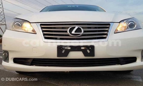 Buy Import Lexus ES White Car in Import - Dubai in Agadez Buy Import Lexus ES White Car in Import - Dubai in Agadez