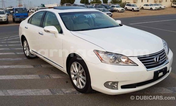 Buy Import Lexus ES White Car in Import - Dubai in Agadez Buy Import Lexus ES White Car in Import - Dubai in Agadez
