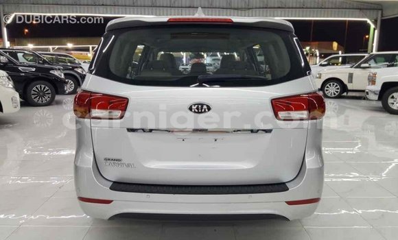 Buy Import Kia Carnival Other Car in Import - Dubai in Agadez Buy Import Kia Carnival Other Car in Import - Dubai in Agadez