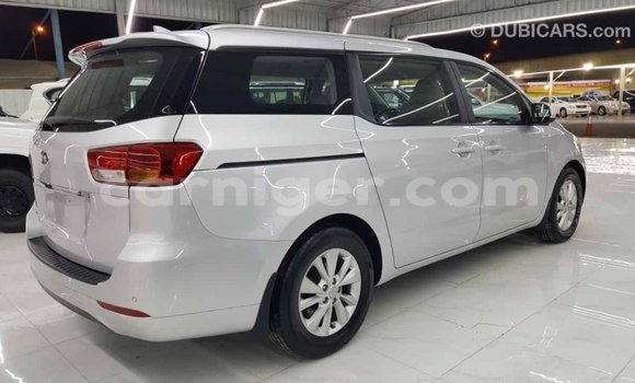 Buy Import Kia Carnival Other Car in Import - Dubai in Agadez Buy Import Kia Carnival Other Car in Import - Dubai in Agadez