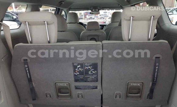 Buy Import Kia Carnival Other Car in Import - Dubai in Agadez