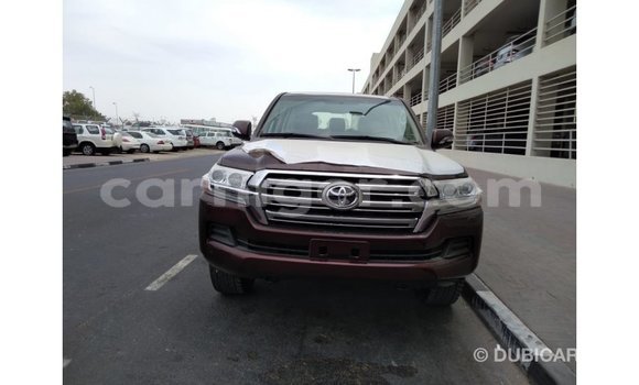 Buy Import Toyota Land Cruiser Brown Truck in Import - Dubai in Agadez Buy Import Toyota Land Cruiser Brown Truck in Import - Dubai in Agadez