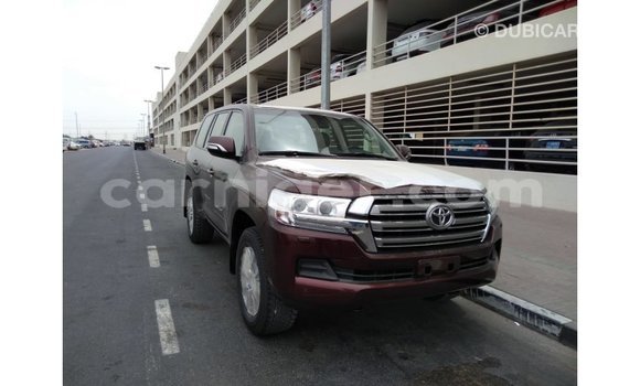 Buy Import Toyota Land Cruiser Brown Truck in Import - Dubai in Agadez Buy Import Toyota Land Cruiser Brown Truck in Import - Dubai in Agadez