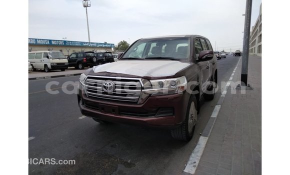 Buy Import Toyota Land Cruiser Brown Truck in Import - Dubai in Agadez Buy Import Toyota Land Cruiser Brown Truck in Import - Dubai in Agadez