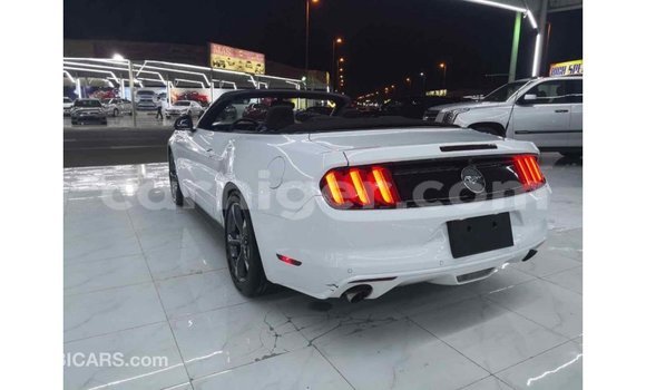 Buy Import Ford Mustang White Car in Import - Dubai in Agadez Buy Import Ford Mustang White Car in Import - Dubai in Agadez