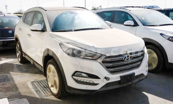 Sayi Imported Hyundai Tucson White Mota in Import - Dubai a Agadez Sayi Imported Hyundai Tucson White Mota in Import - Dubai a Agadez