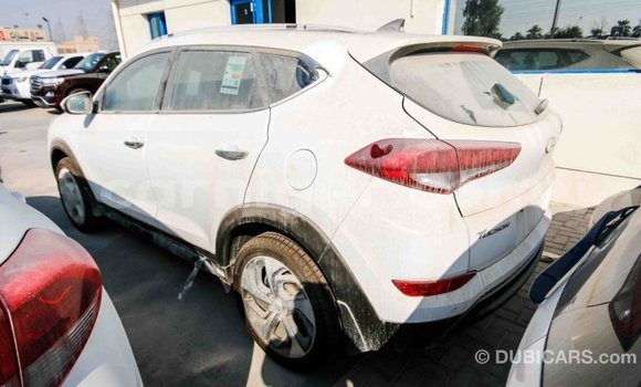 Sayi Imported Hyundai Tucson White Mota in Import - Dubai a Agadez Sayi Imported Hyundai Tucson White Mota in Import - Dubai a Agadez