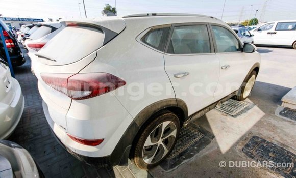 Sayi Imported Hyundai Tucson White Mota in Import - Dubai a Agadez Sayi Imported Hyundai Tucson White Mota in Import - Dubai a Agadez