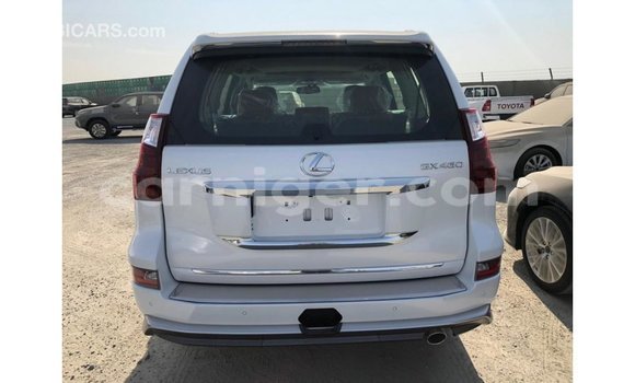 Buy Import Lexus GX White Car in Import - Dubai in Agadez Buy Import Lexus GX White Car in Import - Dubai in Agadez