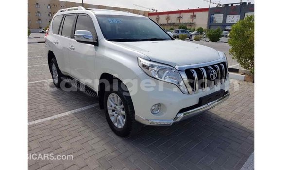 Acheter Import Voiture Toyota Prado Blanc à Import - Dubai, Agadez Acheter Import Voiture Toyota Prado Blanc à Import - Dubai, Agadez