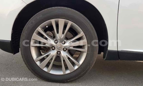 اشتري Imported Lexus RX 350 White سيارة في Import - Dubai في أغاديز اشتري Imported Lexus RX 350 White سيارة في Import - Dubai في أغاديز