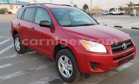 Buy Import Toyota RAV4 Red Car in Import - Dubai in Agadez Buy Import Toyota RAV4 Red Car in Import - Dubai in Agadez