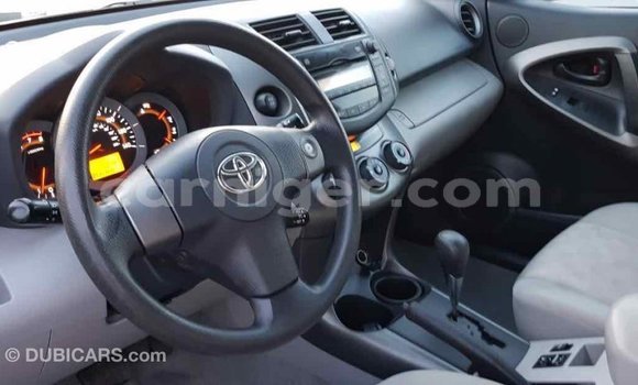 Buy Import Toyota RAV4 Red Car in Import - Dubai in Agadez Buy Import Toyota RAV4 Red Car in Import - Dubai in Agadez