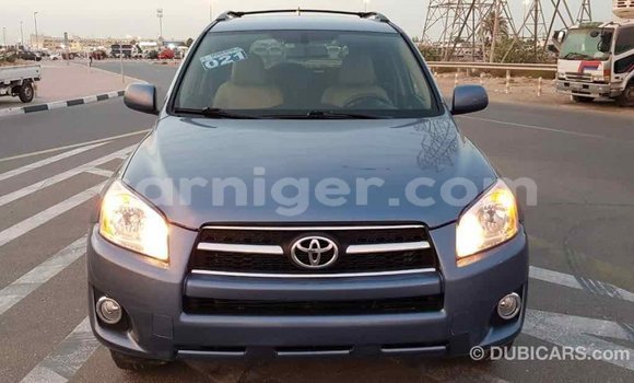 Buy Import Toyota RAV4 Blue Car in Import - Dubai in Agadez Buy Import Toyota RAV4 Blue Car in Import - Dubai in Agadez