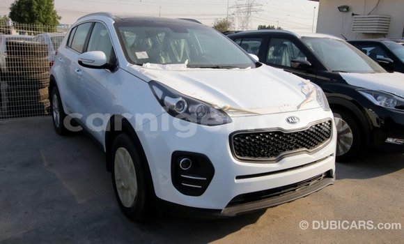 Sayi Imported Kia Sportage White Mota in Import - Dubai a Agadez Sayi Imported Kia Sportage White Mota in Import - Dubai a Agadez