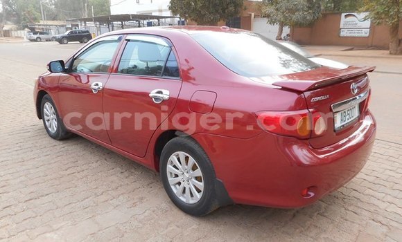 Buy Used Toyota Corolla Red Car in Niamey in Niamey Buy Used Toyota Corolla Red Car in Niamey in Niamey