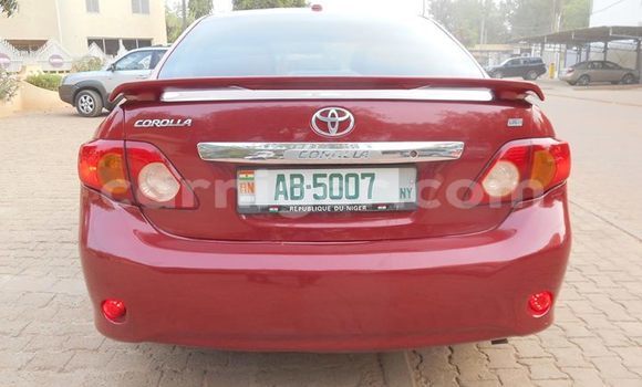 Buy Used Toyota Corolla Red Car in Niamey in Niamey Buy Used Toyota Corolla Red Car in Niamey in Niamey