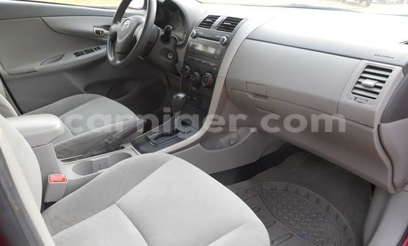 Buy Used Toyota Corolla Red Car in Niamey in Niamey Buy Used Toyota Corolla Red Car in Niamey in Niamey