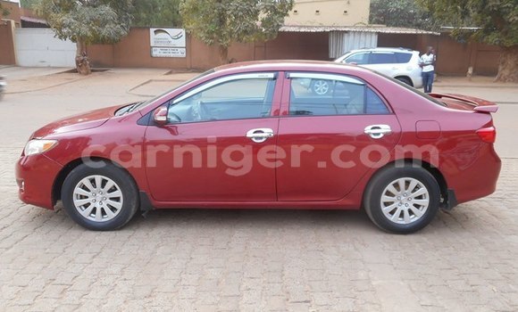 Buy Used Toyota Corolla Red Car in Niamey in Niamey Buy Used Toyota Corolla Red Car in Niamey in Niamey