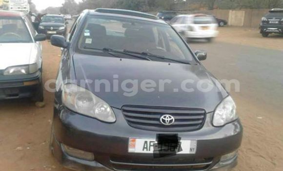 Buy Used Toyota Corolla Other Car in Niamey in Niamey Buy Used Toyota Corolla Other Car in Niamey in Niamey