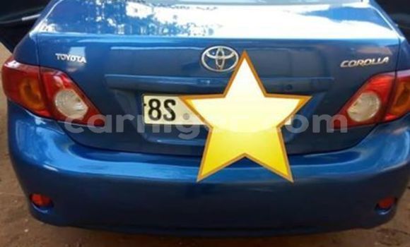 Buy Used Toyota Corolla Blue Car in Niamey in Niamey Buy Used Toyota Corolla Blue Car in Niamey in Niamey