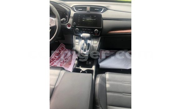 Buy Import Honda C Other Bike in Import - Dubai in Agadez Buy Import Honda C Other Bike in Import - Dubai in Agadez