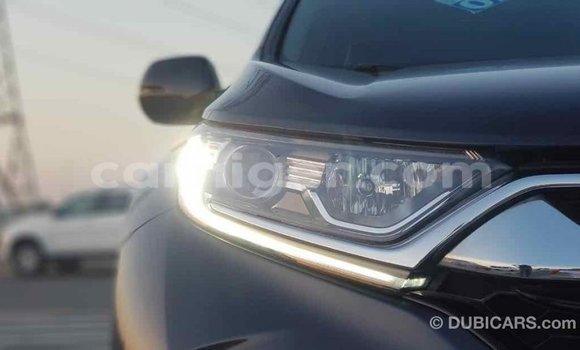 Buy Import Honda C Other Bike in Import - Dubai in Agadez Buy Import Honda C Other Bike in Import - Dubai in Agadez