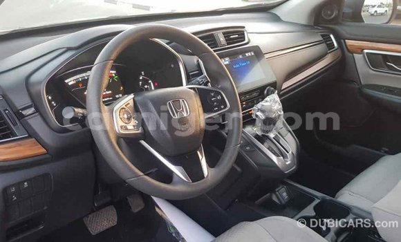 Buy Import Honda C Other Bike in Import - Dubai in Agadez Buy Import Honda C Other Bike in Import - Dubai in Agadez