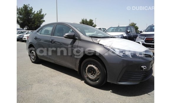 Buy Import Toyota Corolla Other Car in Import - Dubai in Agadez Buy Import Toyota Corolla Other Car in Import - Dubai in Agadez