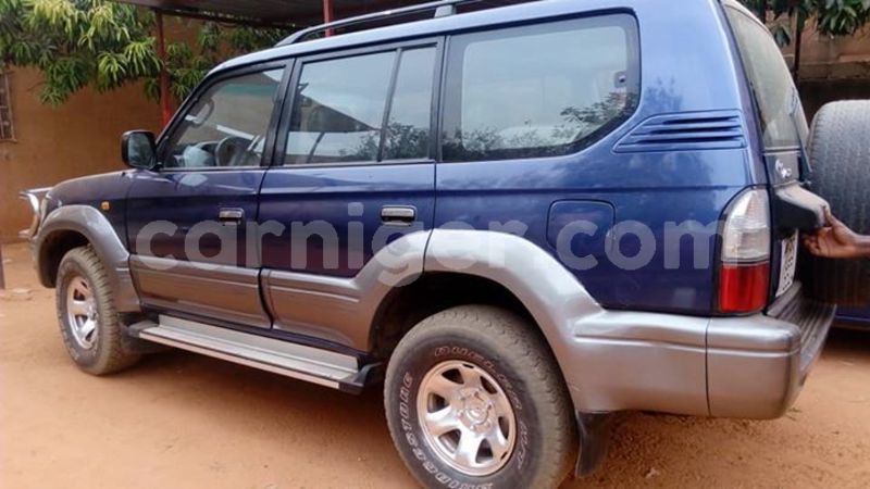 Big with watermark 57408073 2432094153583812 3846549573308776448 n