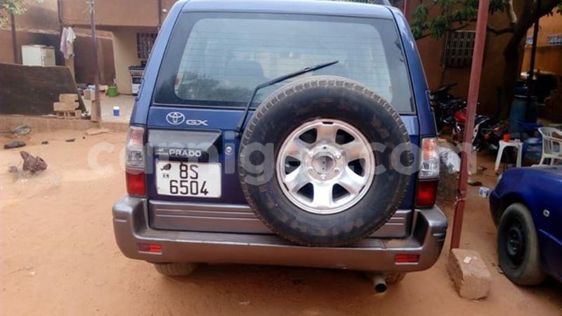 Big with watermark 57280482 2432094133583814 2433657168608624640 n