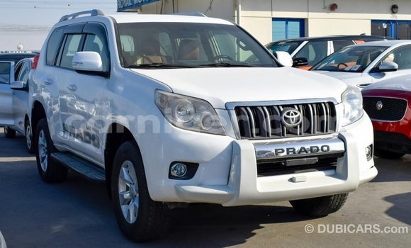Buy Import Toyota Prado White Car in Import - Dubai in Agadez Buy Import Toyota Prado White Car in Import - Dubai in Agadez