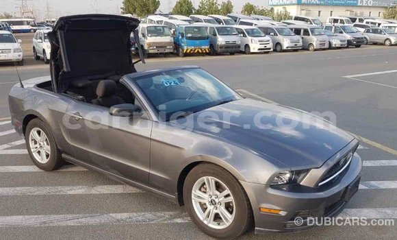 Buy Import Ford Mustang Other Car in Import - Dubai in Agadez Buy Import Ford Mustang Other Car in Import - Dubai in Agadez