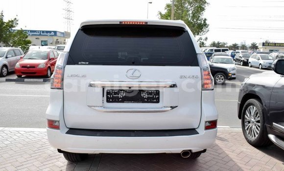 Acheter Import Voiture Lexus GX Blanc à Import - Dubai, Agadez Acheter Import Voiture Lexus GX Blanc à Import - Dubai, Agadez