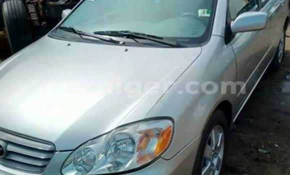 Buy Used Toyota Corolla Silver Car in Niamey in Niamey Buy Used Toyota Corolla Silver Car in Niamey in Niamey