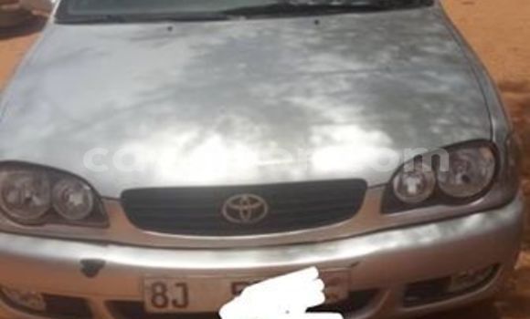 Sayi Na hannu Toyota Corolla Silver Mota in Niamey a Niamey Sayi Na hannu Toyota Corolla Silver Mota in Niamey a Niamey