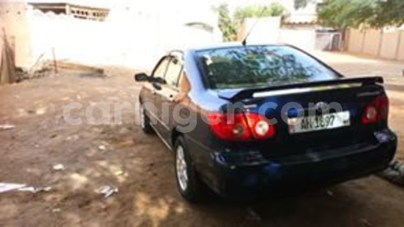 Big with watermark 61899117 196139061368203 4100414777958858752 n