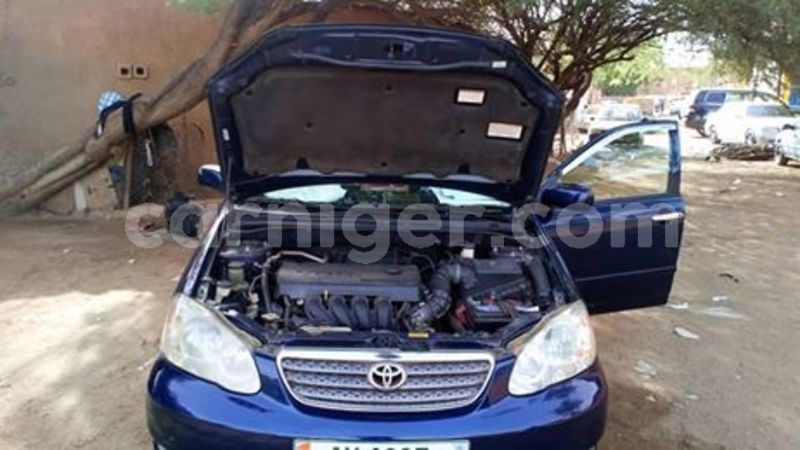 Big with watermark 61787334 196139024701540 5473398526933204992 n