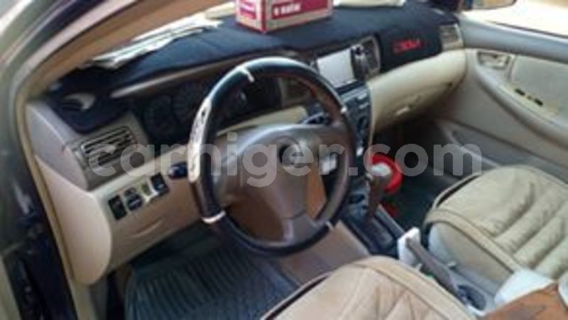 Big with watermark 61589233 196139091368200 5484370682315800576 n