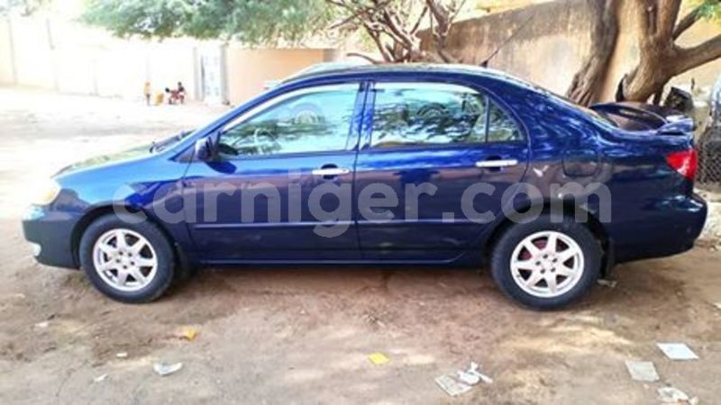 Big with watermark 62091008 196138981368211 7489030595956178944 n